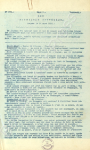 Eerste pagina voorbeeld