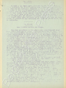 Eerste pagina voorbeeld